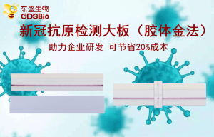 上新了！東盛推出新冠病毒抗原檢測(cè)膠體金大板產(chǎn)品