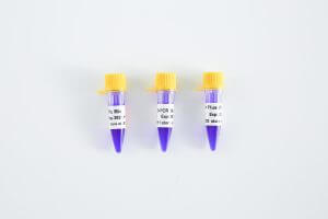PCR Mix升級(jí)丨趁“熱啟動(dòng)”，體驗(yàn)升級(jí)
