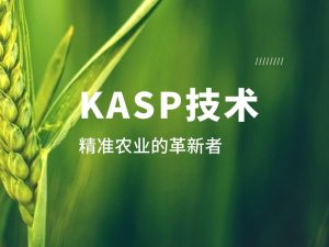 技術(shù)分享丨KASP：精準(zhǔn)農(nóng)業(yè)的革新者