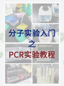 分子小白入門必學(xué)，完整的PCR實驗教程