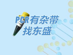 Super TaqMix：PCR有雜帶 找東盛