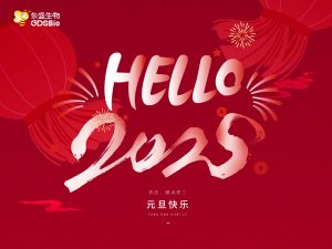 辭舊迎新，共啟2025年新征程