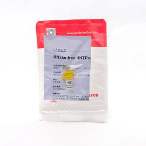 RNase-free dNTPs（R2051） dATP、dTTP、dCTP、dGTP的等摩爾混合物。