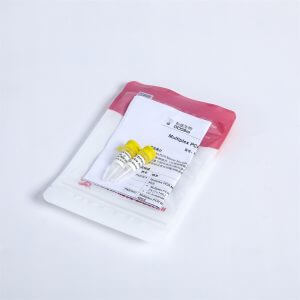 2X Multiplex PCR Master Mix with UDG PM2001，PM2002，PM2003