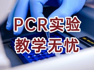 PCR開源教學(xué)試劑盒 - 開啟分子生物學(xué)教學(xué)新體驗(yàn)